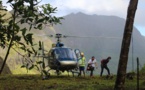 Maraeti'a : nouvelle étape du projet de restauration de forêt 