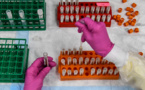 Covid-19: Sanofi et GSK démarrent les tests sur l'homme pour leur candidat vaccin