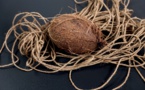 Cocorig : la fibre de coco pour sortir du lagon des kilomètres de plastique