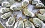 Le congrès mondial de l'huître se penche sur leur inquiétante mortalité
