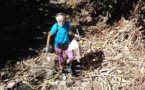 Des "Bourdons" écolos nettoient Moorea