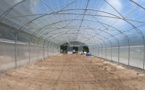 Des projets pilotes pour l'agriculture