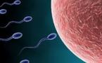 Le spermatozoïde français se fait rare: mode de vie et environnement en accusation