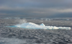 La banquise d'été de l'Arctique au deuxième plus bas niveau jamais observé