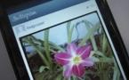 Google va concurrencer l'application photo Instagram de Facebook