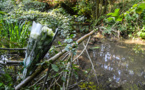 La jeune Victorine semble être décédée d'une noyade "non accidentelle"