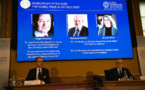 Le Nobel de physique à un trio d'experts des "trous noirs"