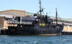 Les pays anti-pêche à la baleine appellent les militants au pacifisme