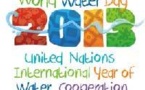 Année internationale des Nations Unies de la coopération dans le domaine de l'eau 2013