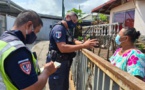 Pirae dit stop aux chiens errants