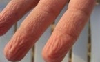 Si les doigts se fripent dans l'eau, c'est pour mieux saisir les objets mouillés