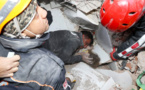 Turquie: une fillette de trois ans sauvée des décombres 91 heures après le séisme