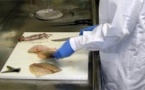Fukushima: un poisson présente un niveau impressionnant de radioactivité