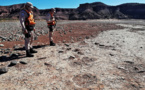 L'activité volcanique a assis la domination des eusauropodes il y a 180 millions d'années