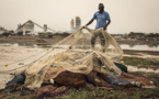 Sénégal: des centaines de pêcheurs touchés par une mystérieuse maladie cutanée