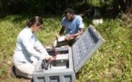 Un projet d’énergie géothermique sur les rails à Vanuatu