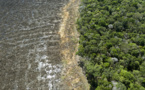 La déforestation en Amazonie brésilienne au plus haut depuis 12 ans