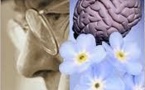Le nombre de malades d'Alzheimer devrait tripler d'ici 2050 aux Etats-Unis