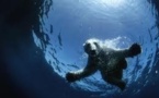 Le PNUE plaide pour des garde-fous autour des ressources de l'Arctique