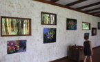 "Folichromies", une exposition originale au Vanira Lodge