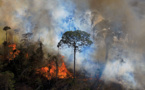 Brésil: les incendies de forêt au plus haut en dix ans