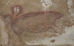 La plus ancienne peinture rupestre découverte dans une grotte indonésienne