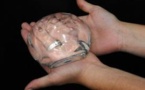 Implants mammaires: la justice s'interroge sur l'approvisionnement de PIP en silicone industriel