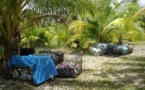 Lancement bénévole du tri sélectif à Fakarava : notre goutte dans l’océan.