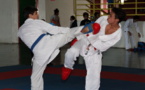 Karaté : Ca cogne dur à Arue !