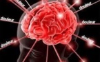 L'expression de la douleur observée dans le cerveau avec un scanner