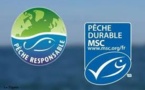 Nombre de pêcheries abusivement labellisées MSC "pêche durable"
