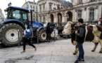 Covid et cantine: des éleveurs protestent contre les menus sans viande à Lyon