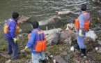 Mort inexpliquée de centaines de porcs et de chiens en Chine