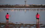 Environ 20% des espèces sont menacées en France, la situation se dégrade (UICN)