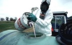 L'UE va interdire trois pesticides tueurs d'abeilles