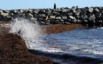 L'Australie veut faire interdire la fertilisation des mers au sulfate de fer