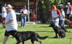 Le Club canin de Moorea rafle tous les prix en obéissance
