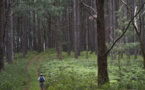 ​La filière bois en bonne voie à Rurutu