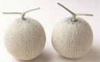 Japon: deux melons vendus aux enchères pour 12.000 euros