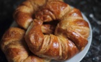 Pologne: un animal inquiétant se révèle être... un croissant