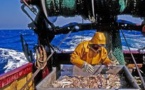 Réforme de la pêche: l'UE veut restaurer les stocks de poissons