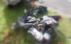 Accident  à Mataiea: une jeune scooteriste de 23 ans perd la vie