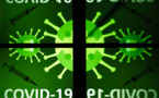 Covid-19 - Plus contagieux, plus résistants, plus nombreux: le tour du monde des variants