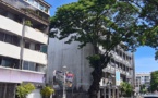 L'abattage gênant d'un marumaru centenaire