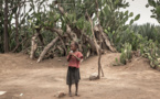 La famine écrase le sud de Madagascar, les chiffres empirent