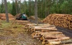 La filière forêt-bois prête à créer 25.000 emplois d'ici 2020