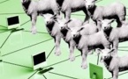 Colliers GPS, téléguidage de troupeaux: les Pyrénées testent le pastoralisme du futur