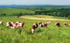 Dix pistes pour réduire l'impact de l'agriculture sur le climat