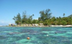 Morsure d'un enfant : Le procès du Lagoonarium de Moorea renvoyé