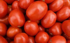 De la peau de tomate pour habiller les conserves